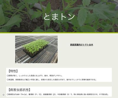 とまトンの画像