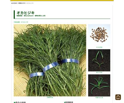 オカヒジキの画像