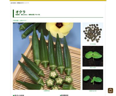 五角オクラの画像