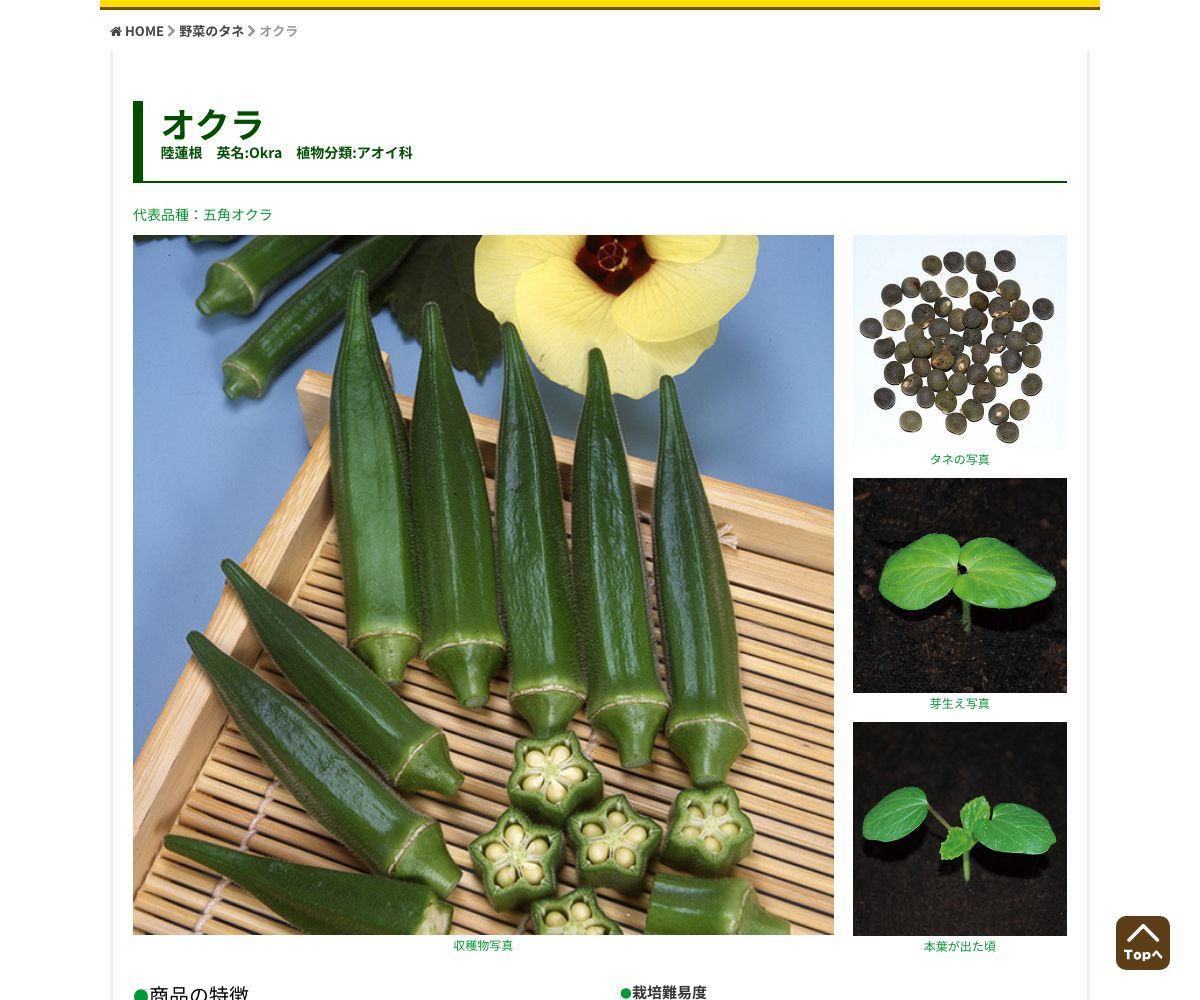 やわらか白オクラ