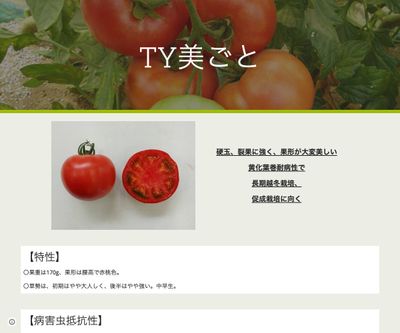 TY美ごとの画像