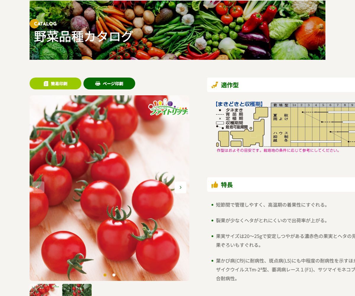 サマー千果