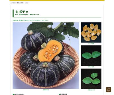 秋どりミニカボチャ 栗こまちの画像