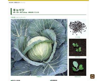 うまさぎっしりキャベツ（販売地域限定）の画像