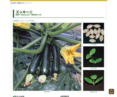 よくなるズッキーニ 黄坊（きぼう）の画像