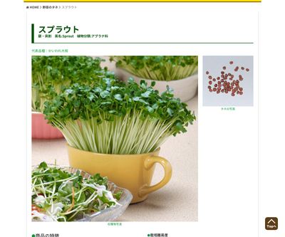 赤茎かいわれ大根フラミンゴの画像