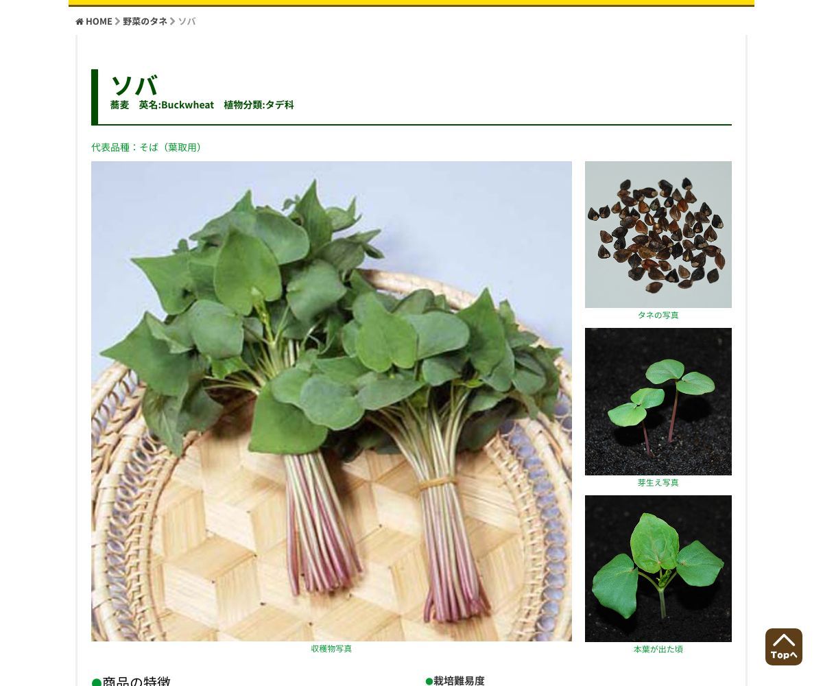 そば（葉取用）（販売地域限定）