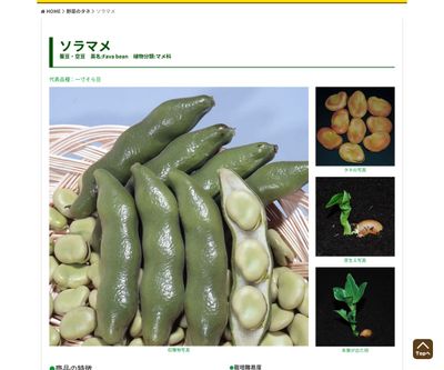 お多福豆の画像