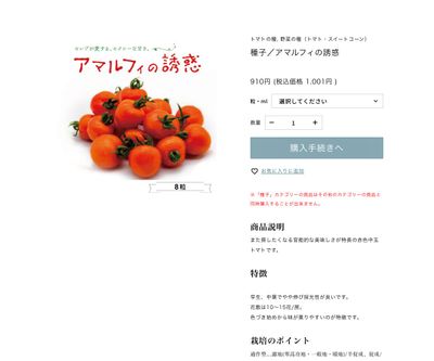 アマルフィの誘惑の画像