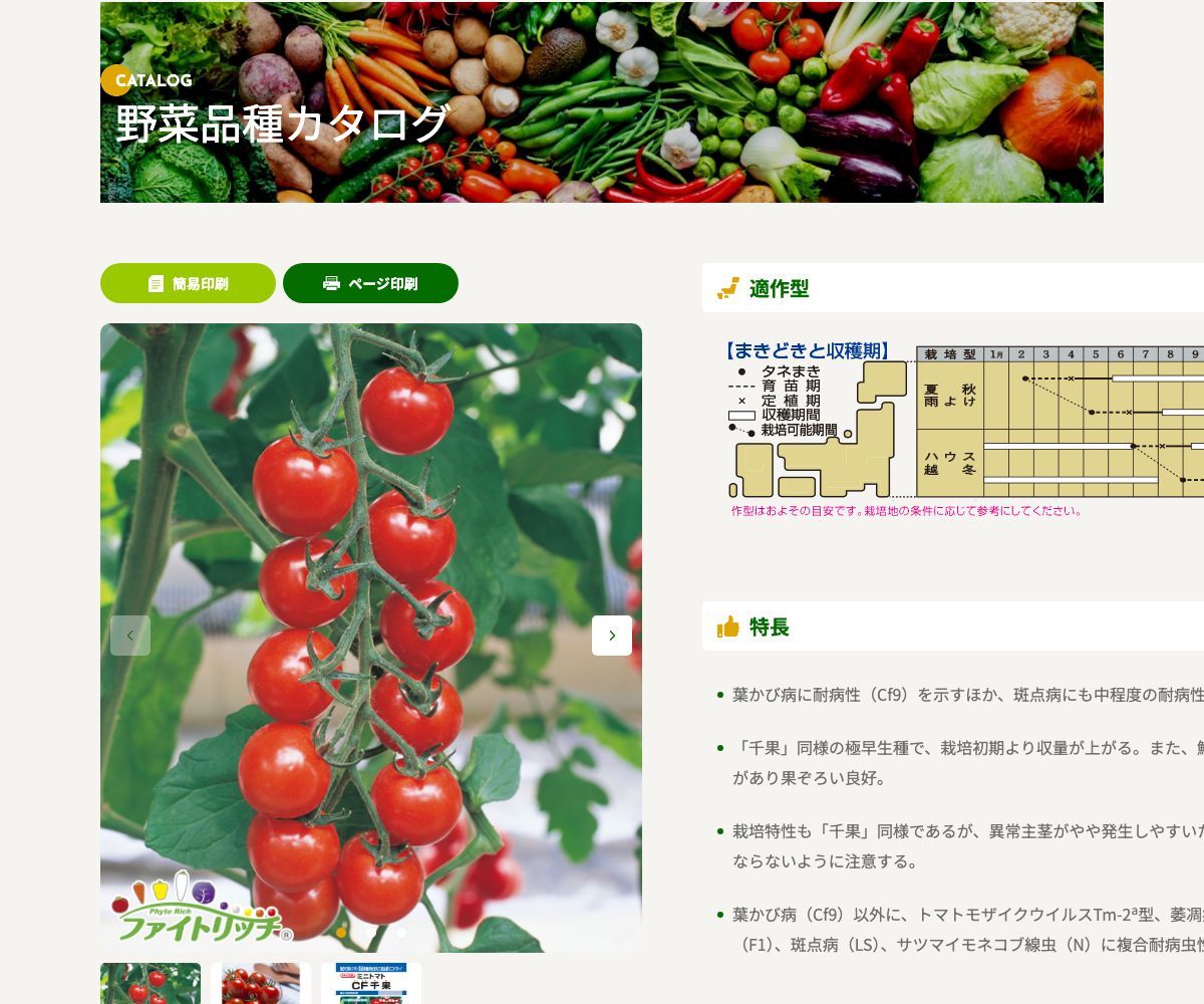 CF千果