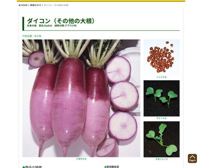 早太り聖護院の画像