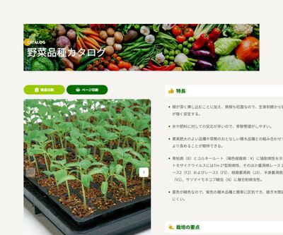 グリーンフォースの画像