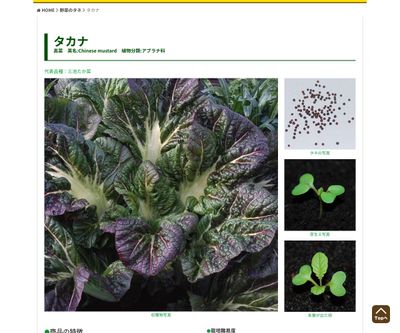 やわらか やまがた清風菜の画像