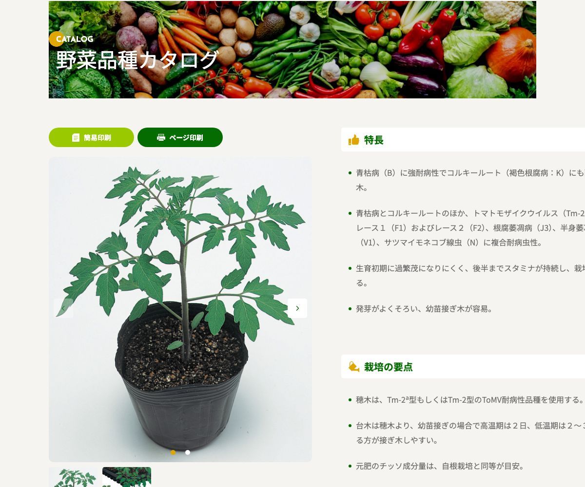 ボランチ®