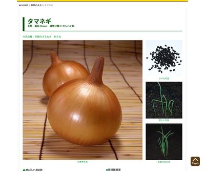 泉州黄玉ねぎの画像