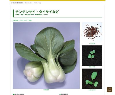 タアサイの画像