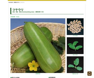 青はぐら瓜の画像