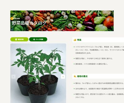 アンカーT®の画像