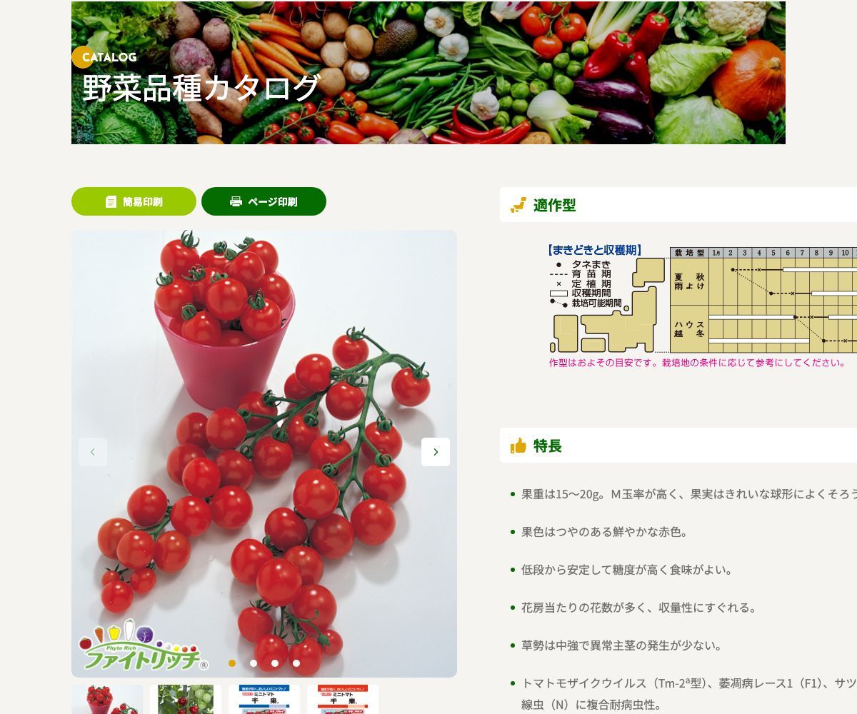 千果