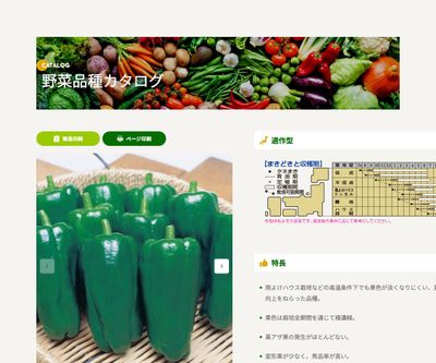 京まつりの画像