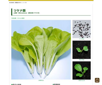 仙台雪菜の画像