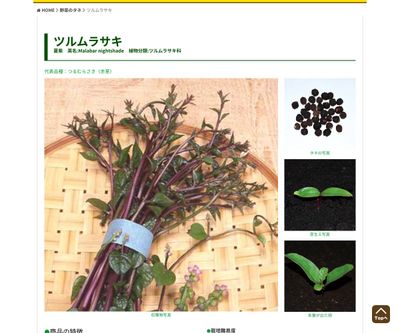 つるむらさき（青茎）の画像