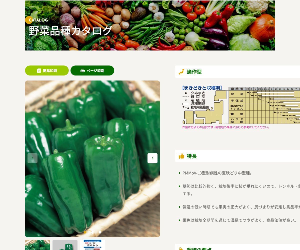 京ひかり