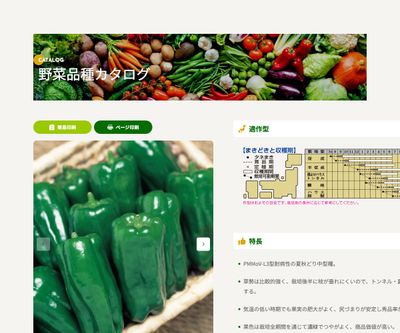 京ひかりの画像