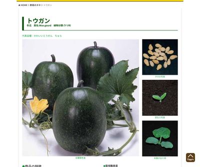 沖縄とうがん（販売地域限定）の画像