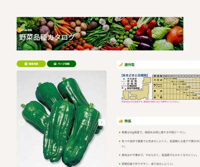 京みどりの画像