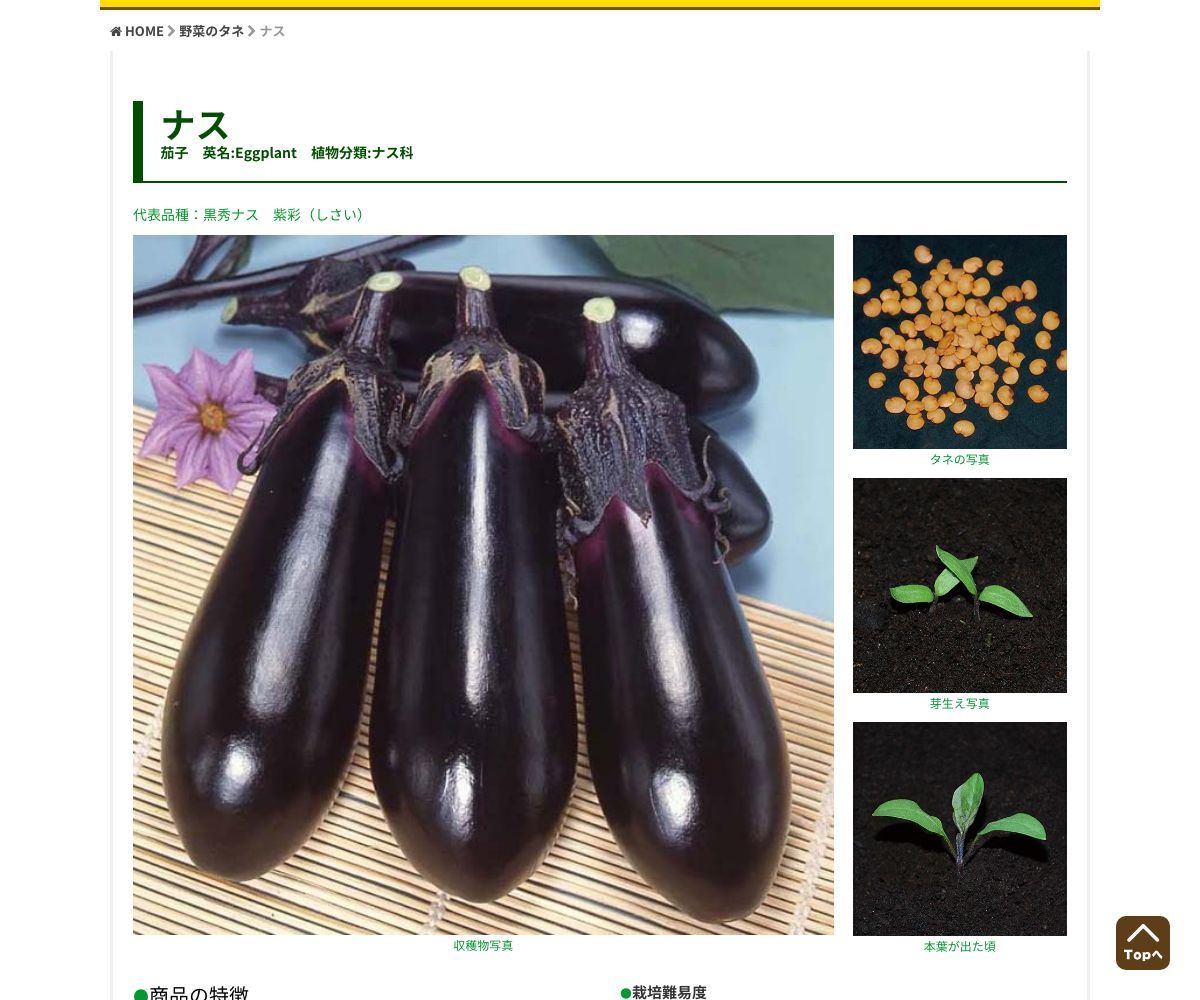 黒秀ナス 紫彩（しさい）