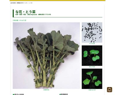 おくはる菜の画像