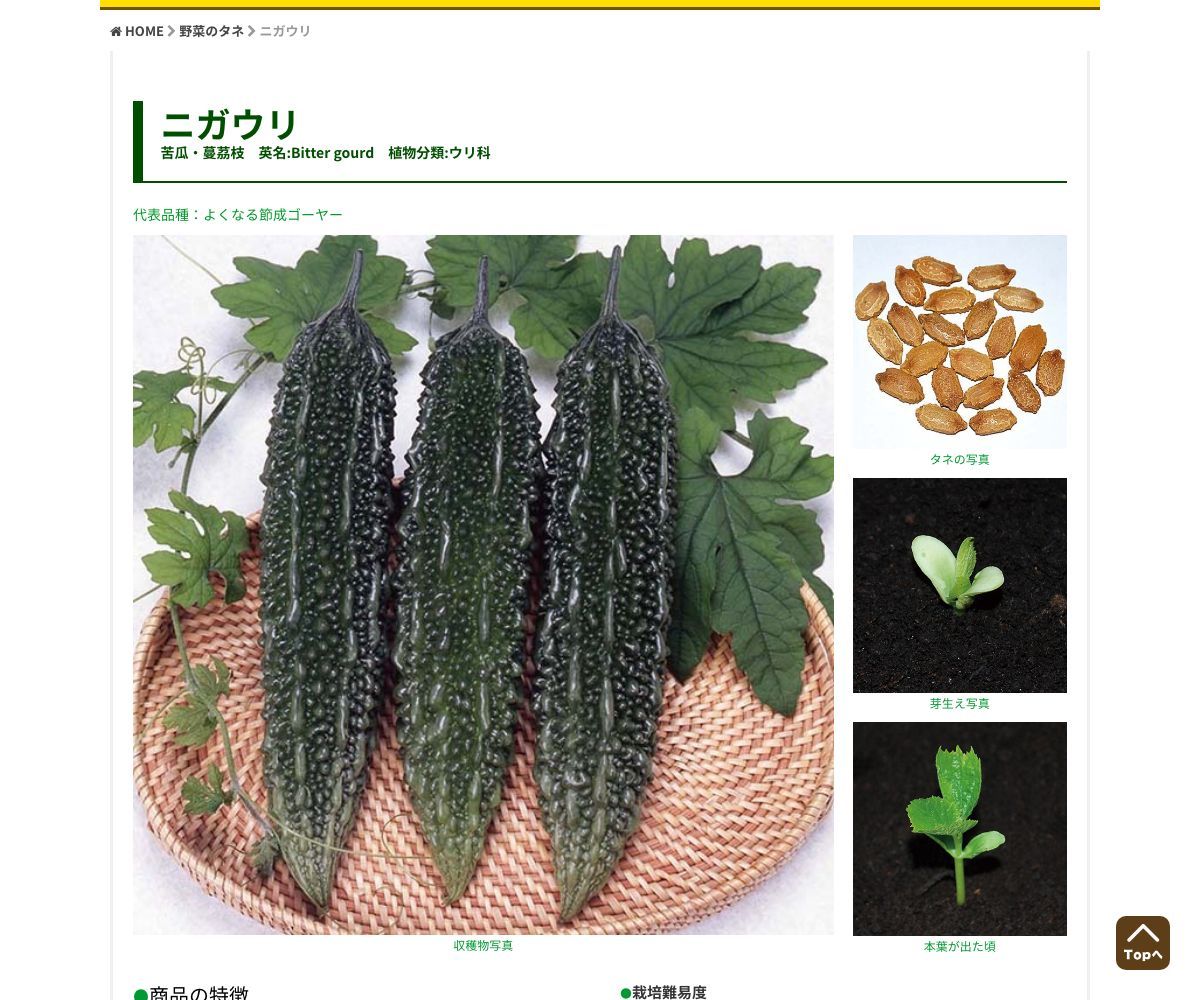 あばしゴーヤー