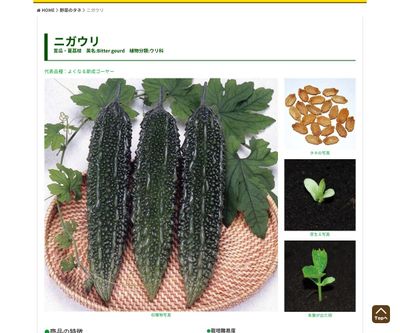 あばしゴーヤーの画像