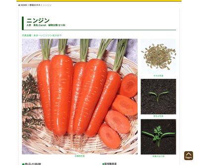 あま～いニンジン 紅かおりの画像