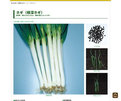 甘とろ太ねぎの画像