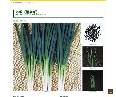 九条太ねぎの画像