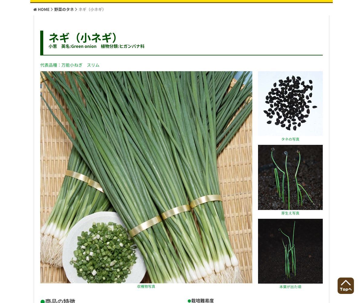 万能小ねぎ スリム