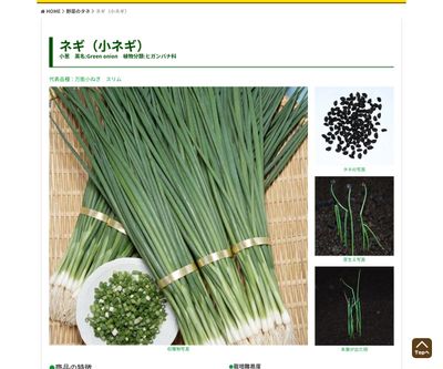 万能小ねぎ スリムの画像