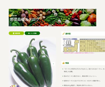 ピー太郎の画像