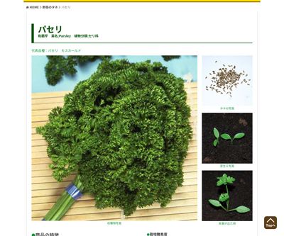 パセリ モスカールドの画像