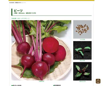 あま～い ゴールデンビーツの画像