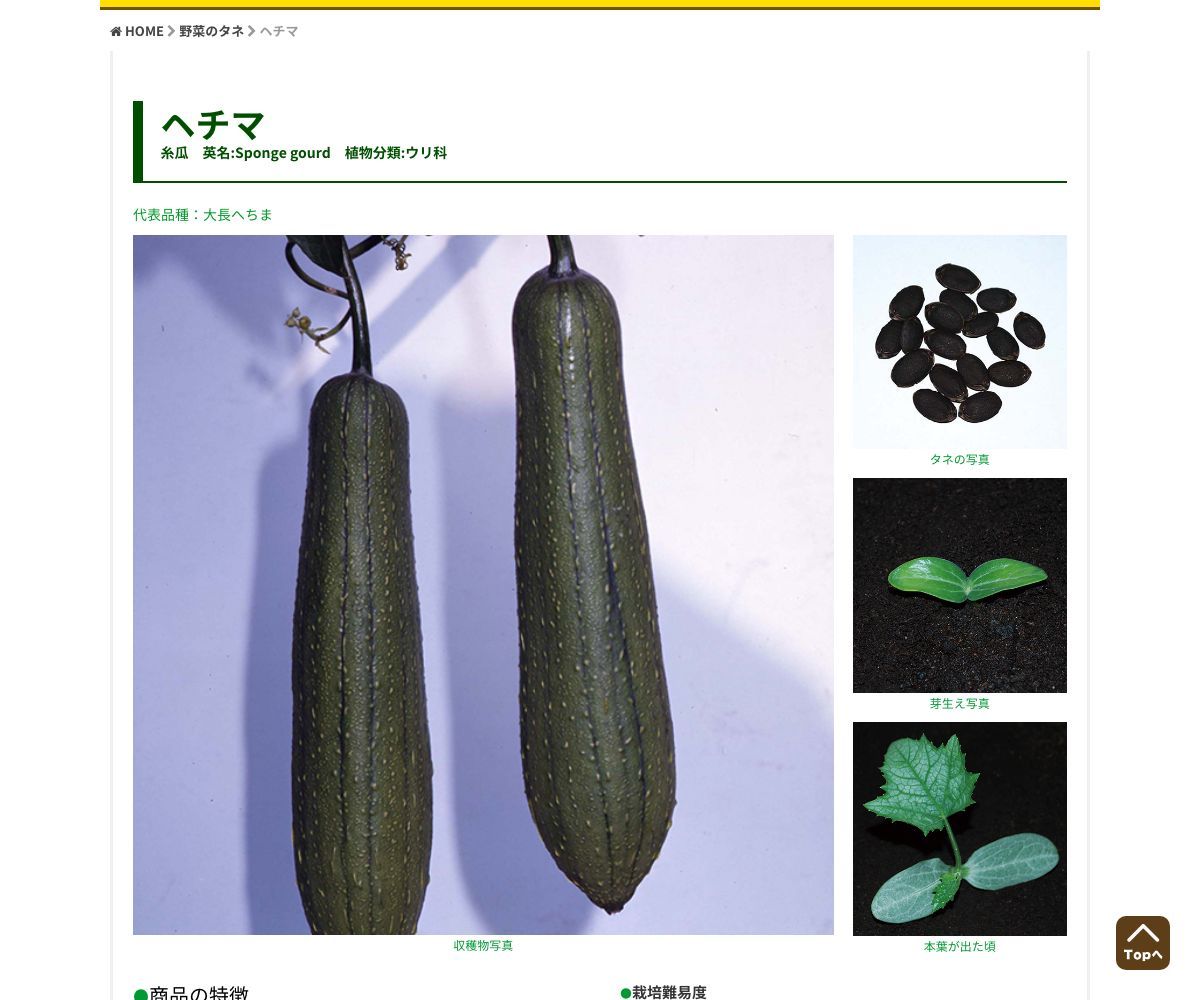 ヘルシーへちま なーべらー（販売地域限定）