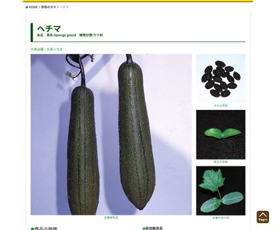 ヘルシーへちま なーべらー（販売地域限定）の画像