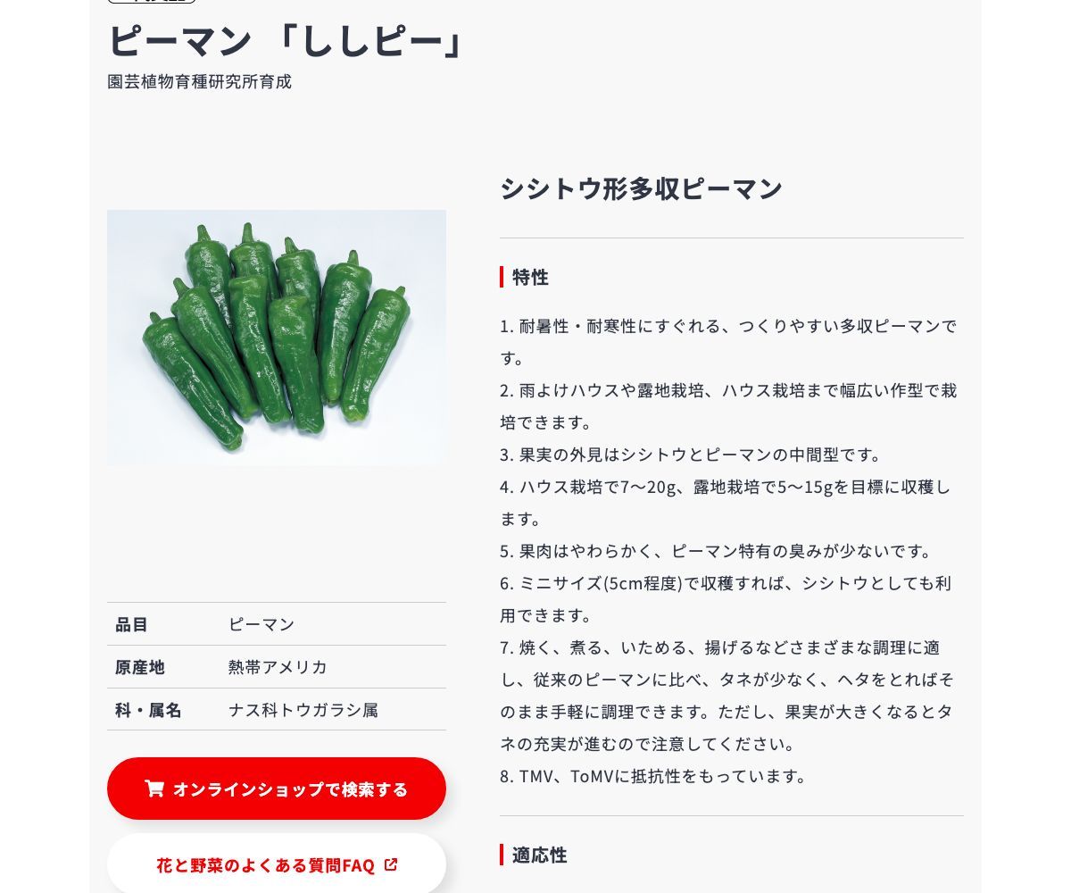 ししピー