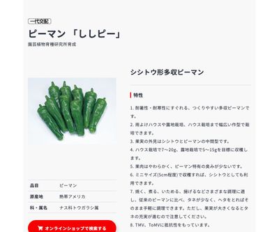 ししピーの画像