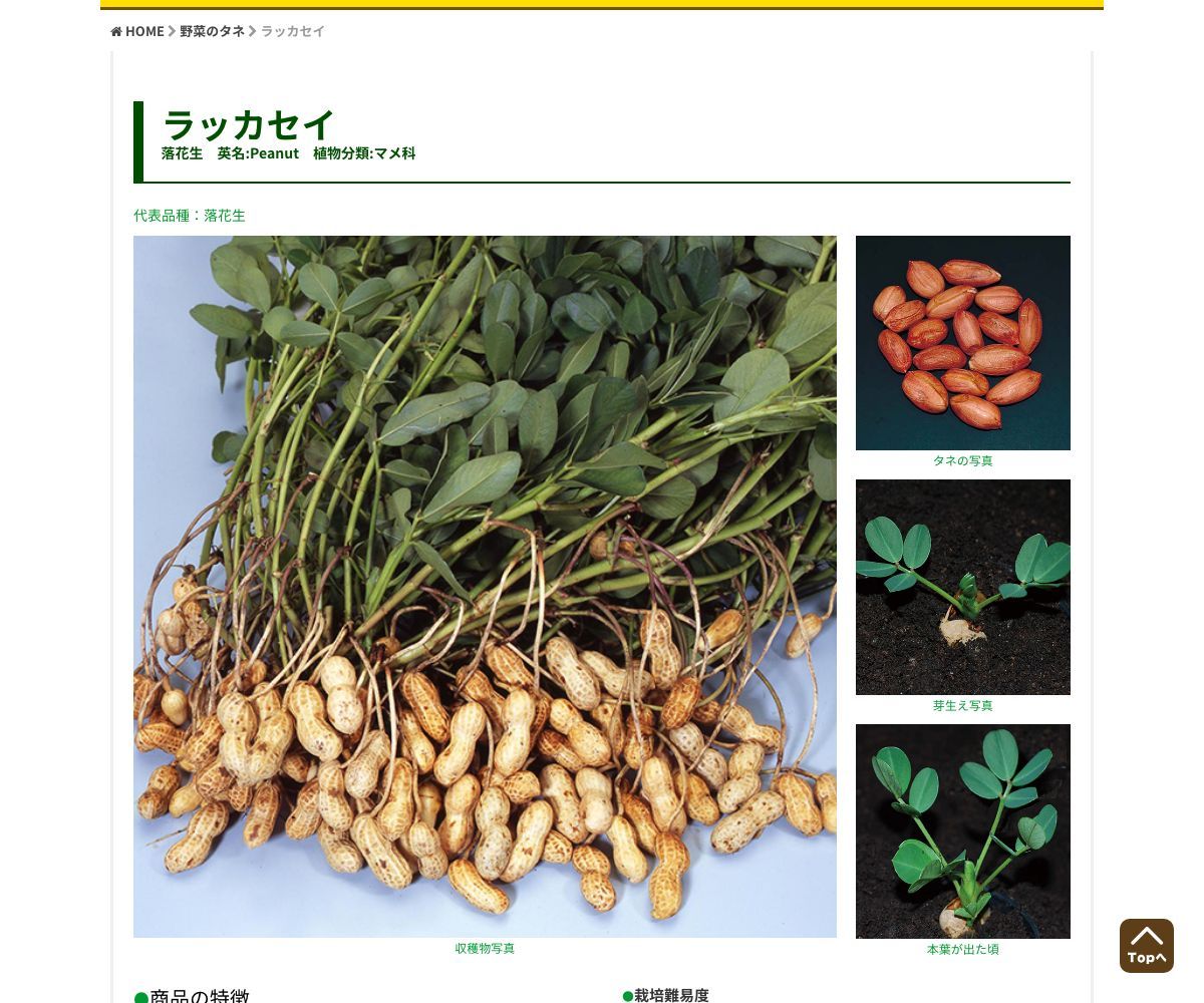 落花生（らっかせい）