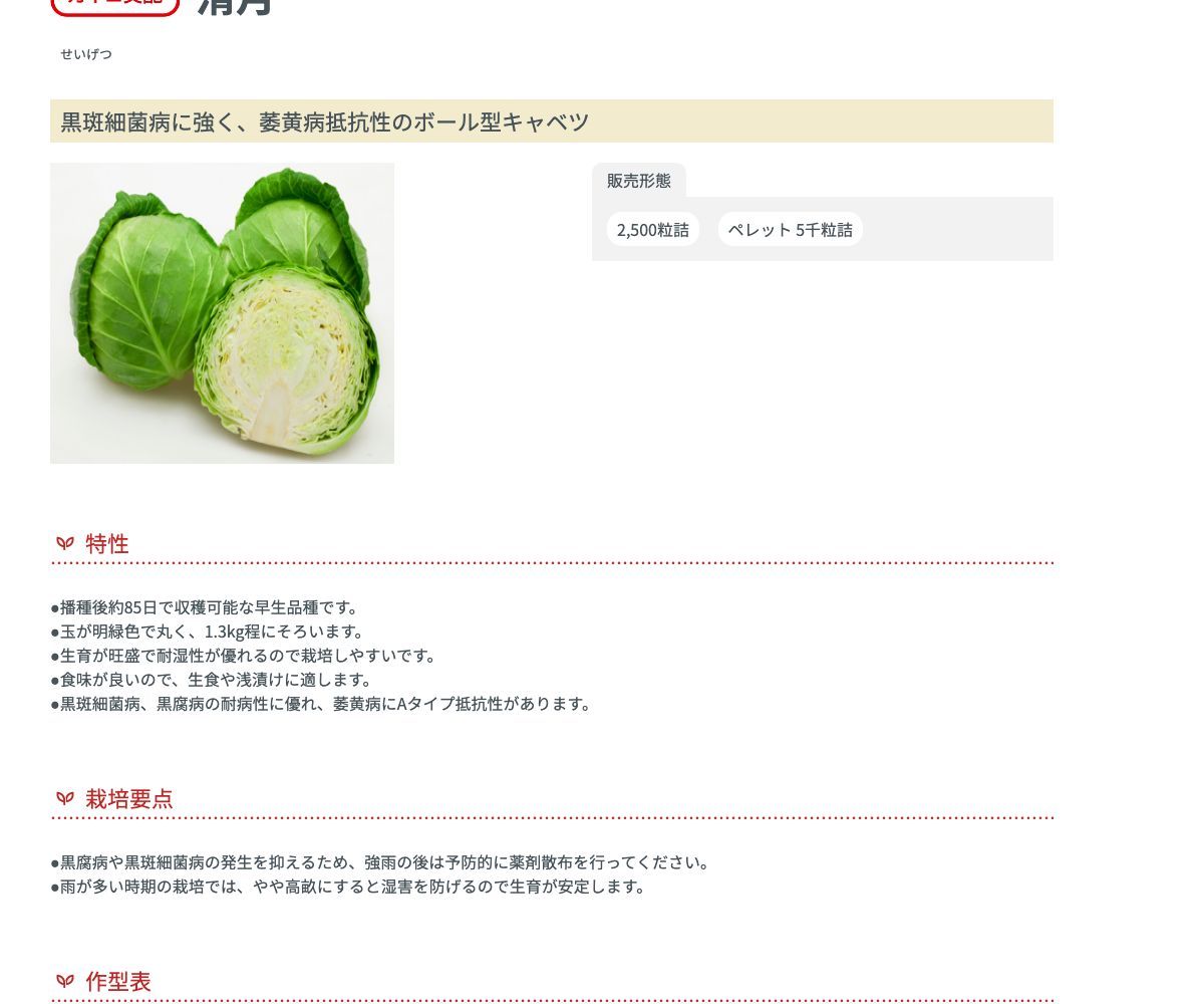 清月