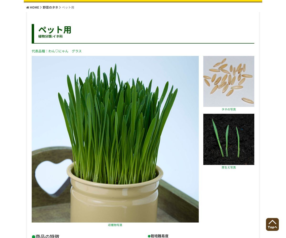 わんにゃんグラス