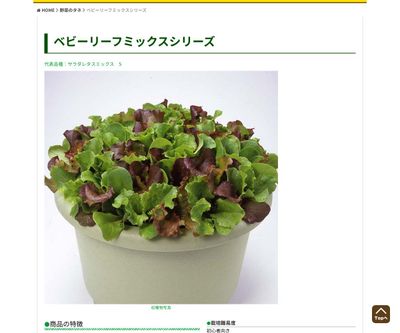 ぜいたく和風ミックスの画像